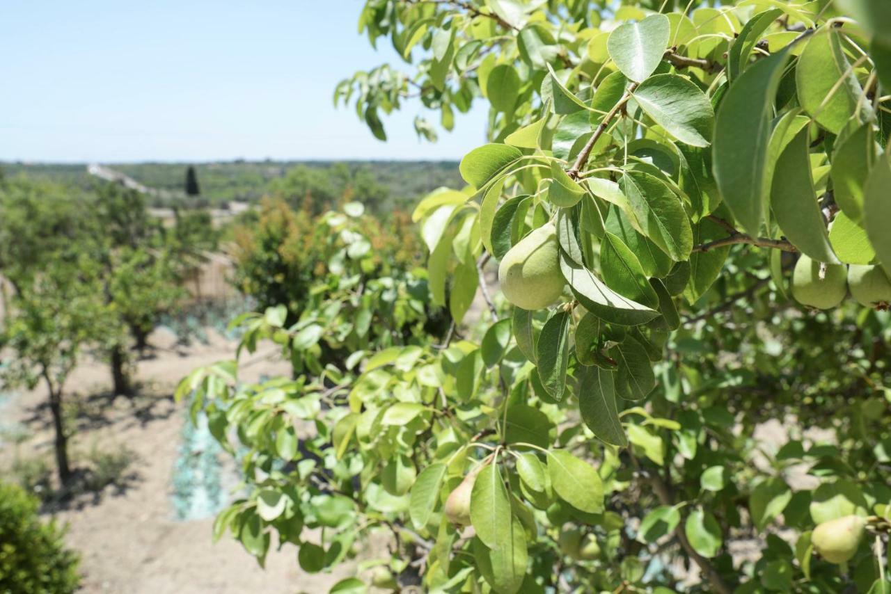 בית הארחה נוטו 	Jardinu מראה חיצוני תמונה