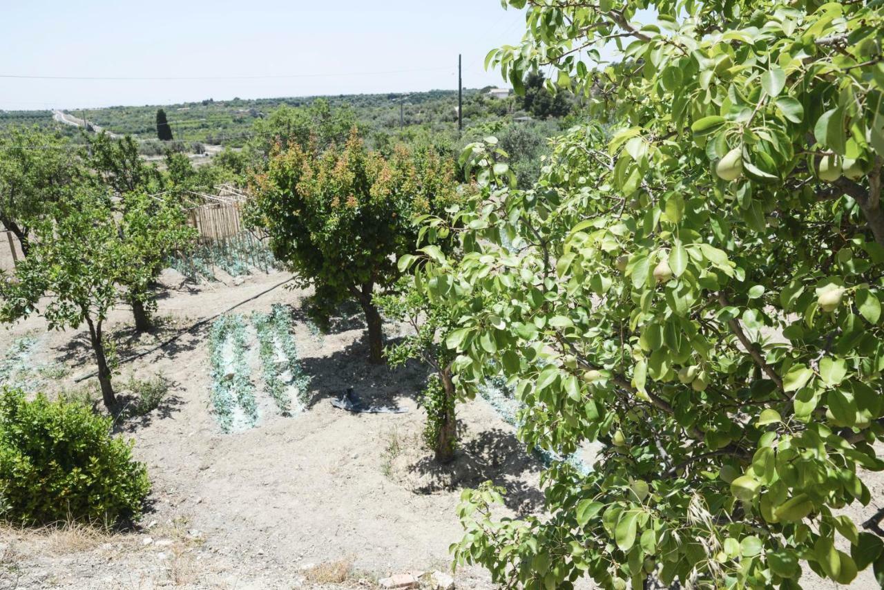 בית הארחה נוטו 	Jardinu מראה חיצוני תמונה