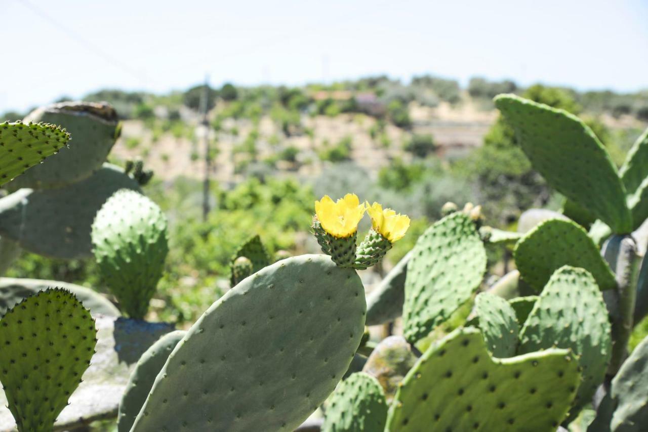 בית הארחה נוטו 	Jardinu מראה חיצוני תמונה