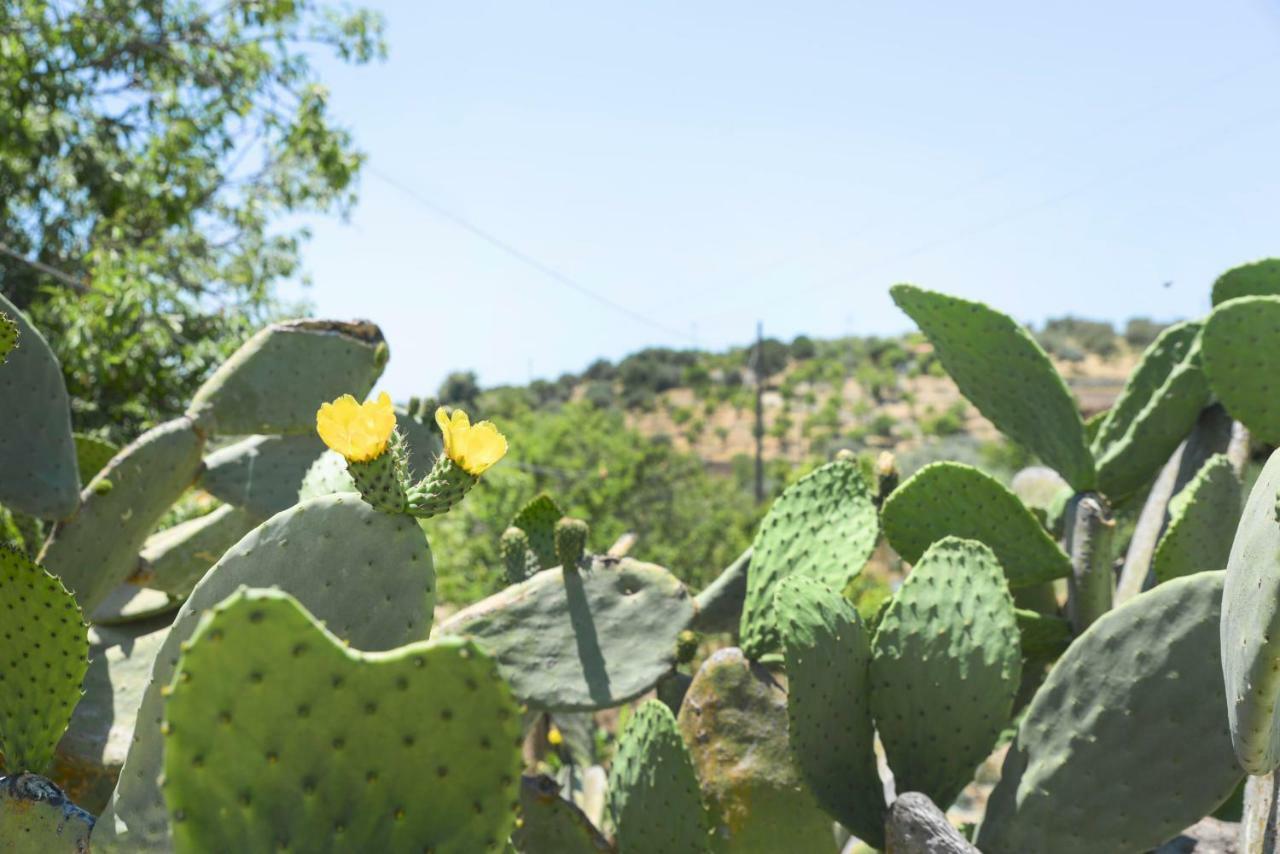 בית הארחה נוטו 	Jardinu מראה חיצוני תמונה